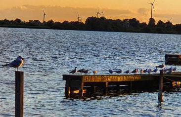 Alter Schwede - Foto 8