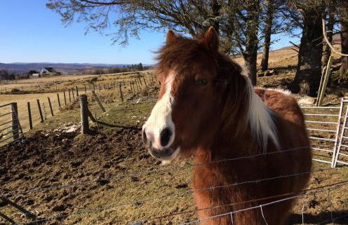 Glen Osdale - Foto 21