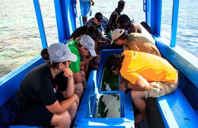 Paseo en barco con fondo de cristal por Diani - Foto 4