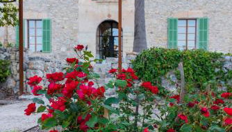 Agroturisme Subies - Foto 4