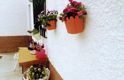 Casa de Férias MariCeu Mirandela - Foto 7