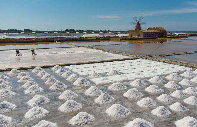 Guided Tour of Marsala Salt Pans - Photo 4