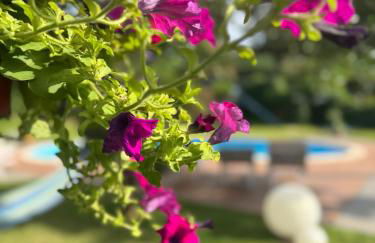 Green paradise with Etna view - Foto 47