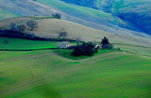 Il Capuccio - Foto 56