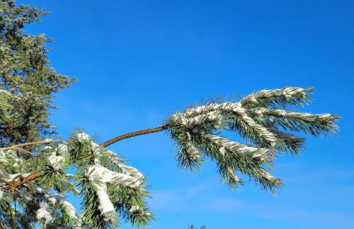 Domek dla dwojga - Photo 27