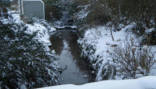 La louisiane - Foto 5