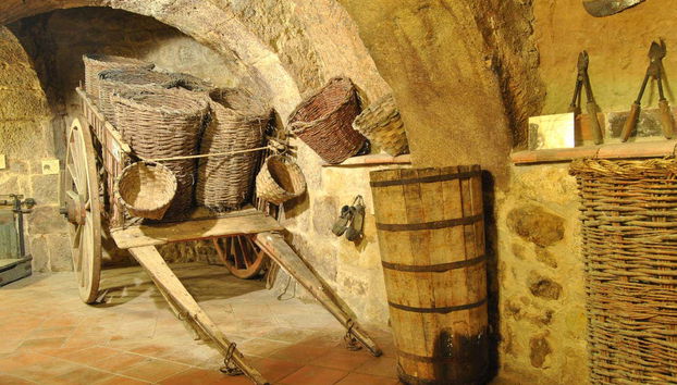 Musée du vin d'Aranda de Duero