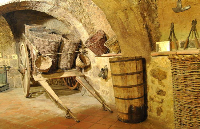 Visite du musée du vin d'Aranda de Duero - Photo 5