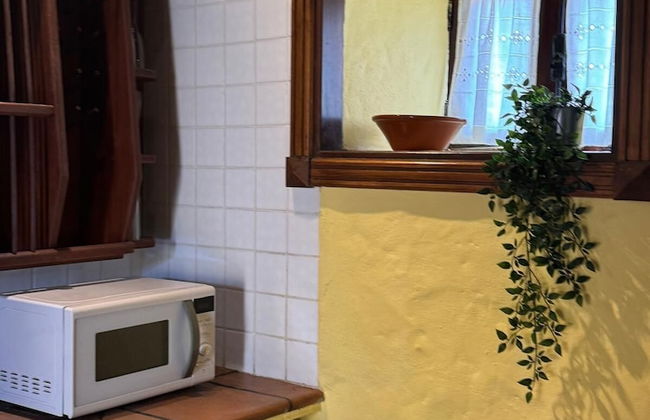 Oasis Hill Botanical Garden - Foto 40