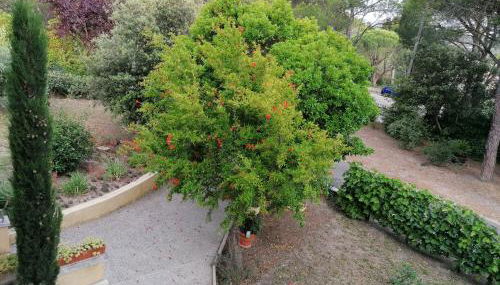 STUDIO meublé indépendant chez l'habitant - Foto 4, Garden view