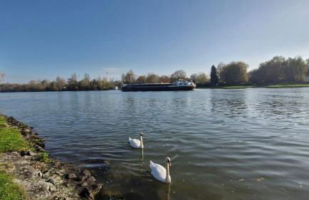 Appartement Vaux le Vicomte - Foto 16