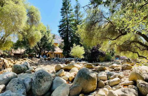 Sequoia Cabin by the River - Photo 37