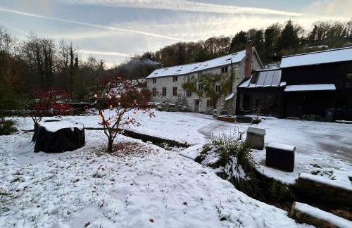 Idyllic country house & organic swim pond - Photo 48