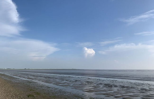Old Bakery - Former Stable - Photo 28