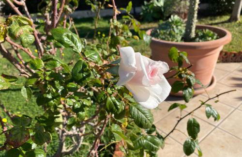 Seaside home - Foto 30