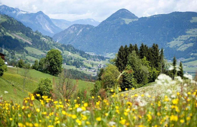 Cosy Apartment in Neustift in the Stubaital - Foto 38