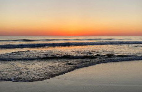 Palm Appart - Foto 12