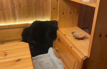 CIASA LAURINA - Apartment near the slopes with Dolomite views - Foto 8