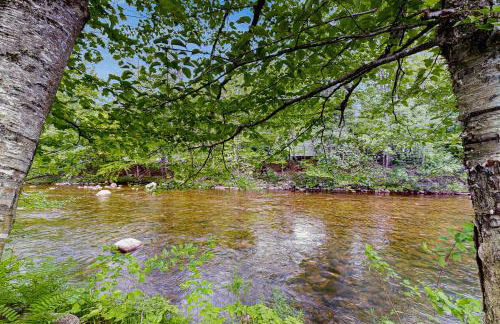 Riverbank's Pemi Cottage - Foto 11