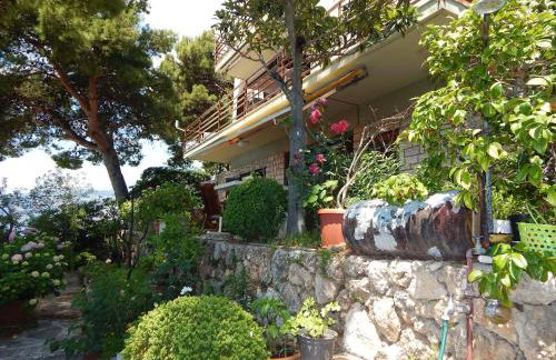 Villa Maristika - Foto 5