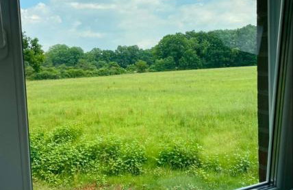 Familienfreundlichen Apartment mit traumhaft grüner Aussicht - Foto 8