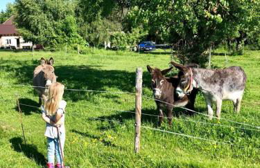 Biohof Neihausmo - Foto 27