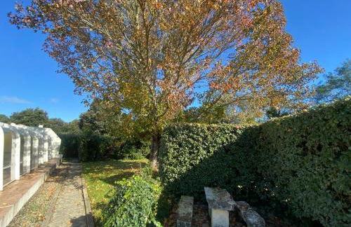 Ile d oléron Vertbois, Villa Bois Piscine et mer - Foto 27