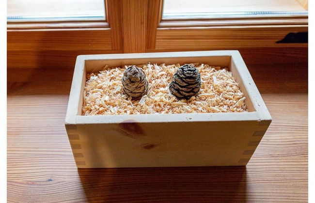 Infanglalm "attersee" - Foto 26