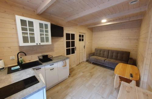 Domki Letniskowe Magnolia - Foto 63