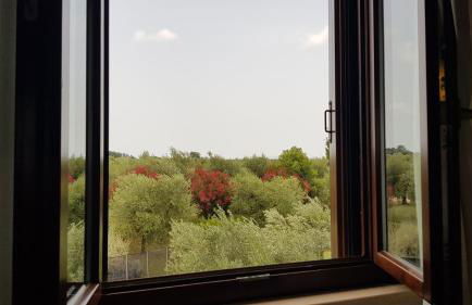 Il Casale degli Ulivi - Agriturismo - TENIMENTI LEONE - Foto 16