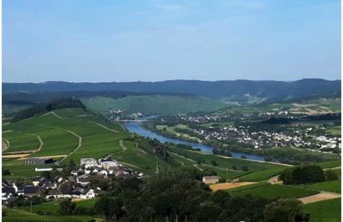 2 Weinhaus Marmann - Foto 10