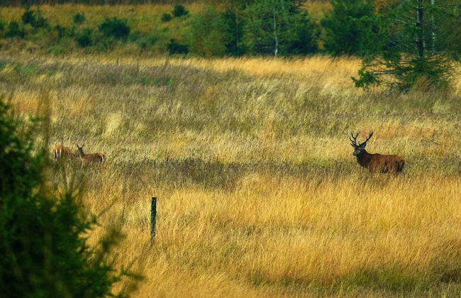 Peaceful Holiday Home - Foto 57