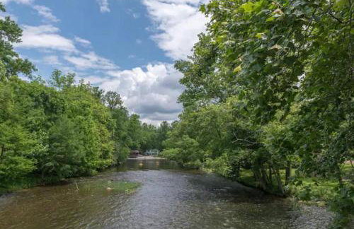 Dreamy Cabin & Outdoor Oasis! Mins to Nat'l Park! - Photo 48