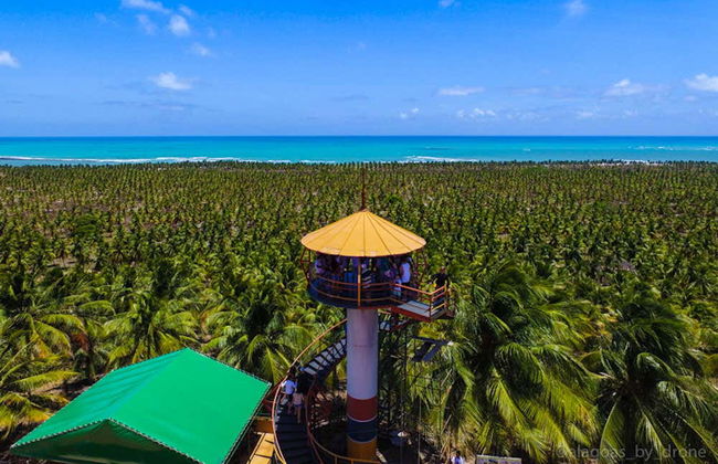 Escursione privata a Barra de São Miguel + Praia do Francês e Gunga - Foto 7