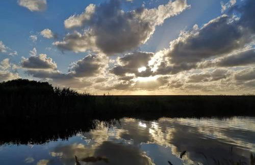 FEWO auf dem Lande / nahe SPO - Foto 129