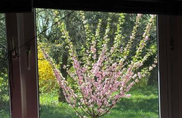 Domki Na Ranczo - Foto 33