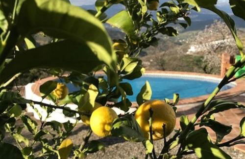 Sunny hillside casita in Guaro - Foto 23