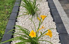 Domki Pod Sosnami Stare Kiejkuty - Foto 37