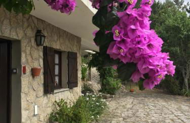 Villa de Fujacos - Foto 68