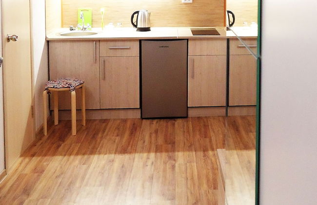 Apartments on Prospekt Dzerzhinskogo 238 - Photo 15