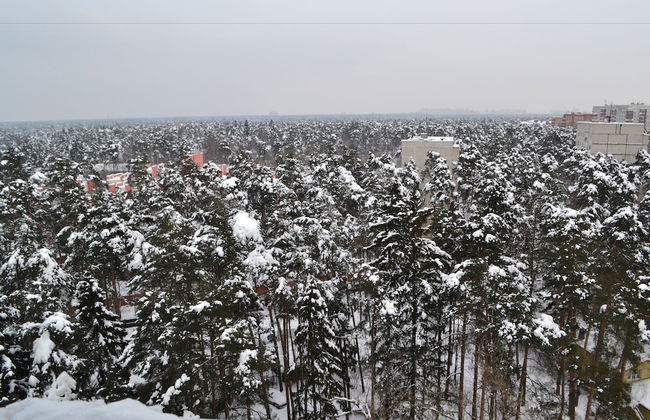 Zhukovsky apartment - Foto 21