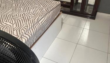 Cantinho verde - Foto 5