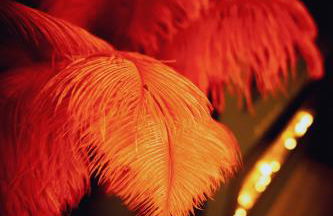 Love room Casa Amore - Foto 47