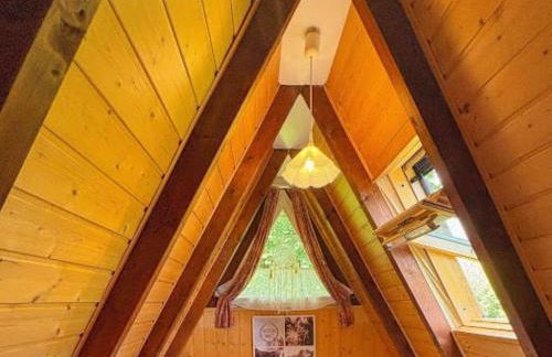 Ebony, kleines Nurdachhaus in direkter Waldrandlage - Foto 7