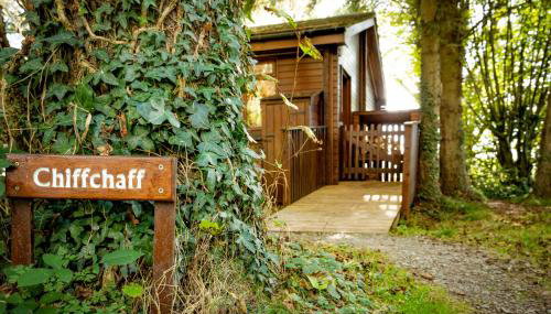 Chiffchaff Lodge with Hot tub - Foto 4, Garden