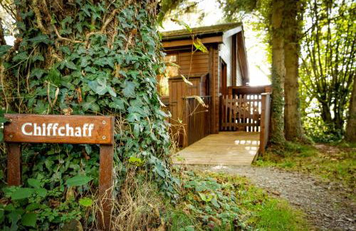 Chiffchaff Lodge with Hot tub - Foto 4