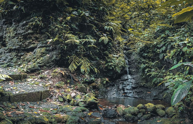 Cabañas Caeli Rainforest Glass Cabin El Congo La Fortuna - Foto 37