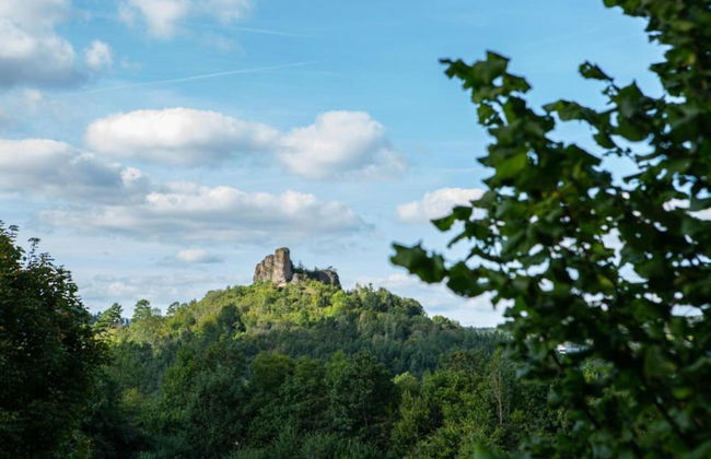 Einladende Ferienwohnung in Muellenborn Eifel - Foto 36
