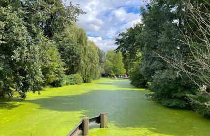 Ferienwohnung Carla Rohls - Photo 6