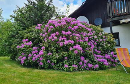 Ferienwohnung Martin - Foto 25